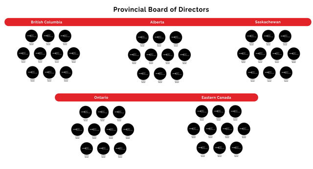 Board of Directors | Diverse Dispute Resolution Institute of